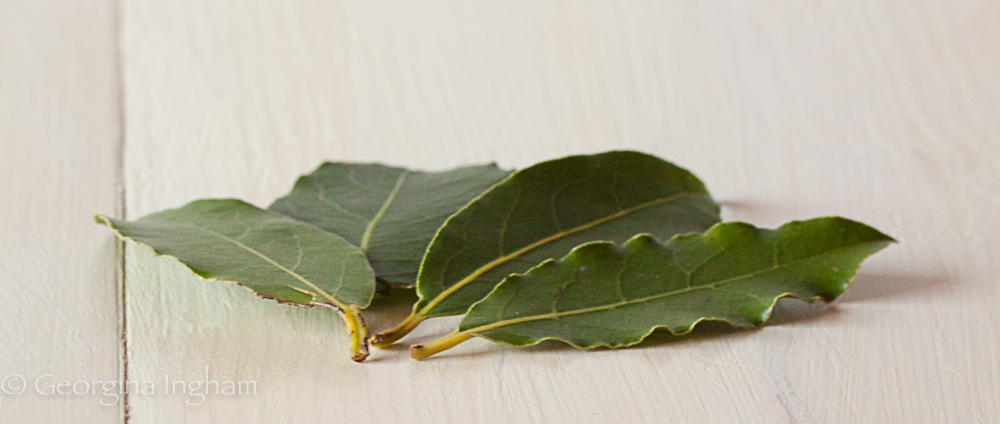 Fresh bay leaves on a wooden surface &mdash; a classic aromatic herb used in roast chicken, sauces and slow cooking.